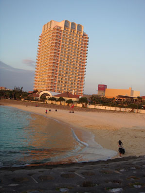 img110105_4.jpg