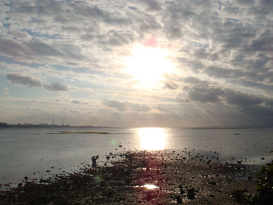 img110108_2.jpg