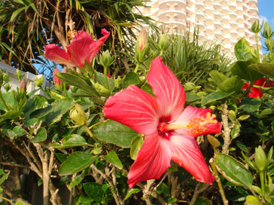 img110113_1.jpg